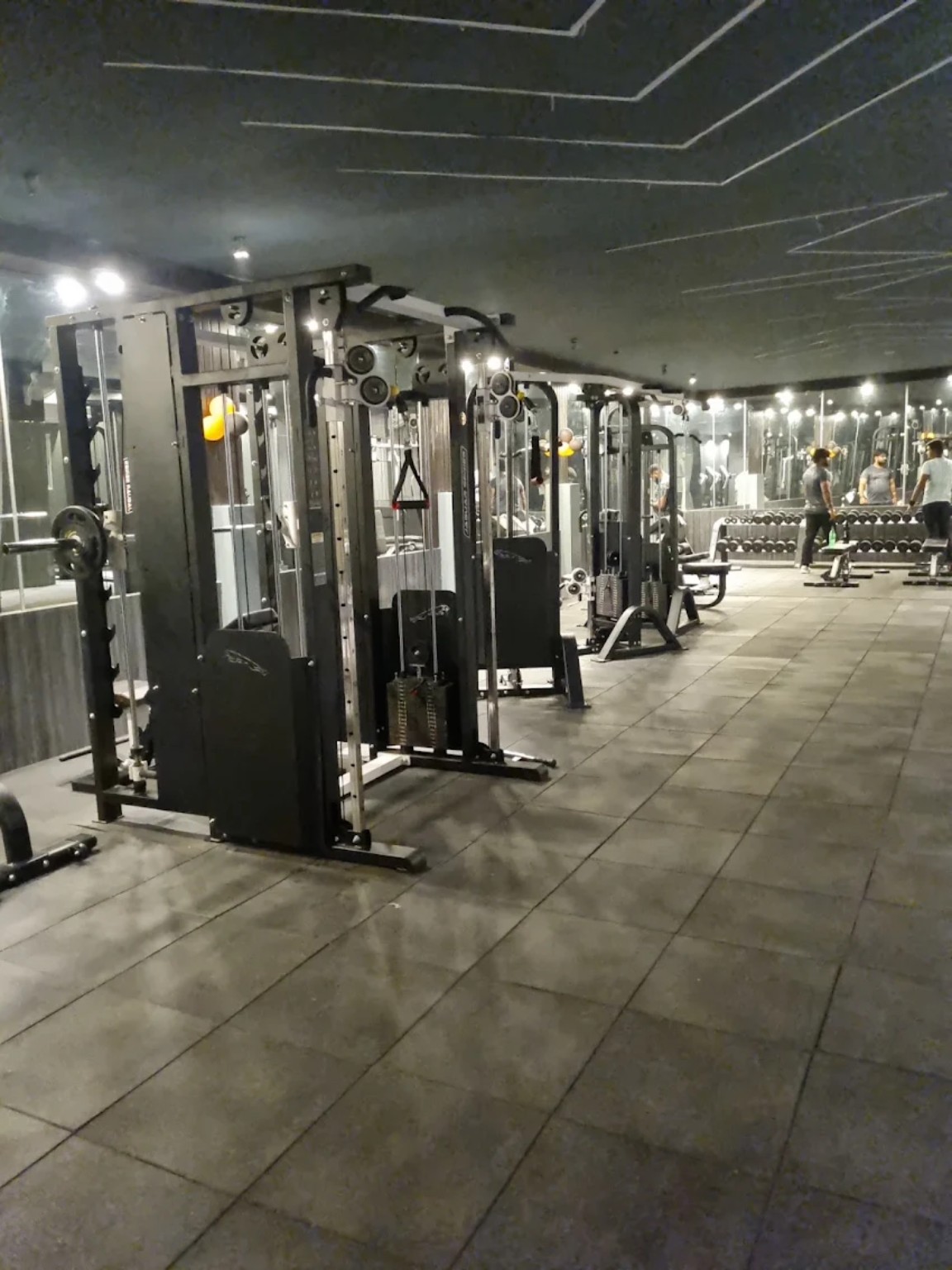 Muscular Mastiff Gym entrance